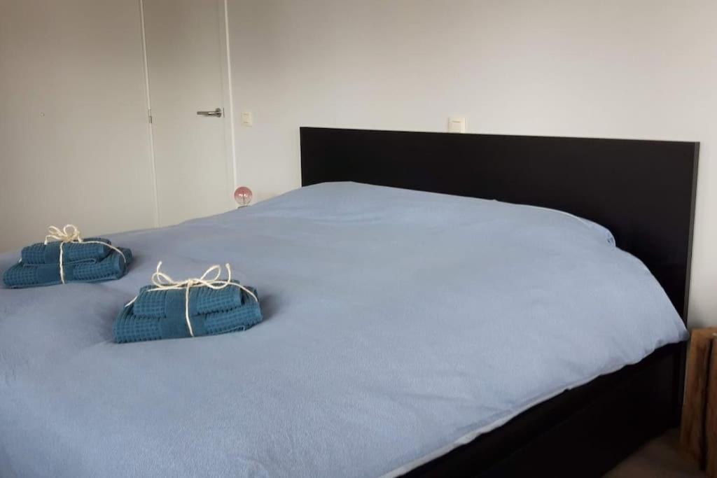 Momaison Charmant Landelijk Appartement 크네세라레 외부 사진